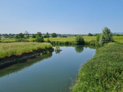 maraisdelatouques-Isabelle-LEBIGRE-Les-pieds-sur-terre