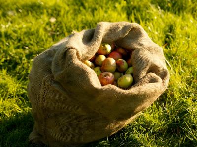 Calvadosd_Sac de pommes
