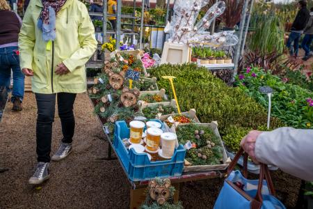 Foire aux arbres Pont-l'Évêque