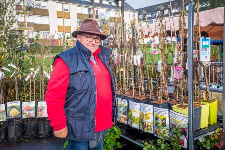 Foire aux arbres Pont-l'Évêque