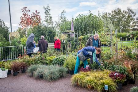 Foire aux arbres Pont-l'Évêque
