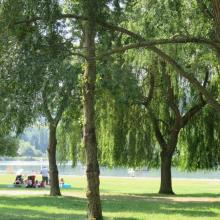 Loisirs au lac de Pont-l'Evêque