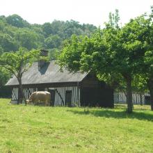 La campagne normande