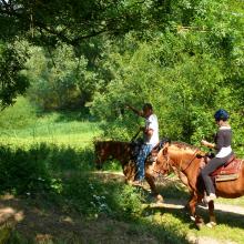 Balade a cheval dans la campagne du Pays d'Auge