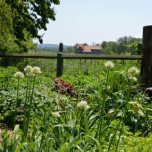 La campagne de Pont-l'Evêque