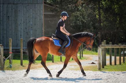 Centre Équestre La Thironnière