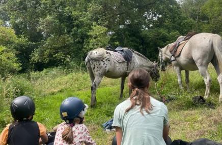 Centre equestre Le Domaine de Capucine 