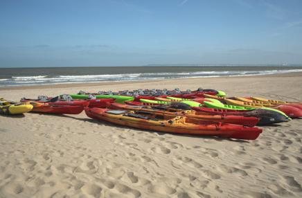 Concept Sport Emotion