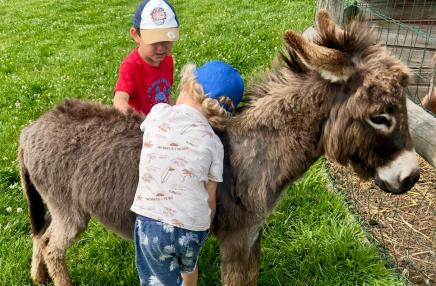 Ferme pédagogique Le domaine de Capucine