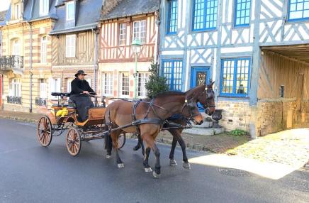 La calèche de Saint-Pierre