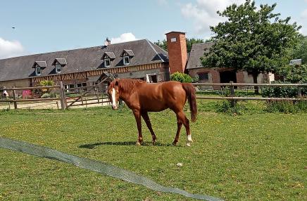 La Casa des 7 Collines