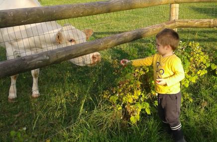 La ferme du Mont Fourrey