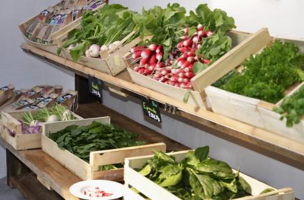 La ferme du Thenney, producteur de légumes bio et locaux en sol vivant