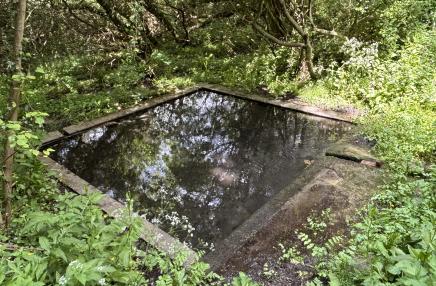 Lavoir de Beaumont-en-Auge (lieu-dit Les Mercanderies)