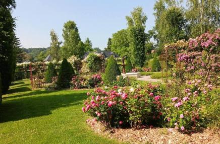 Le jardin de Suzanne