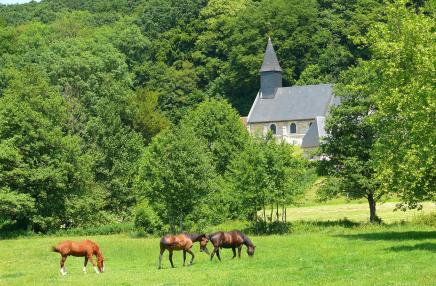 Les églises ouvertes au public