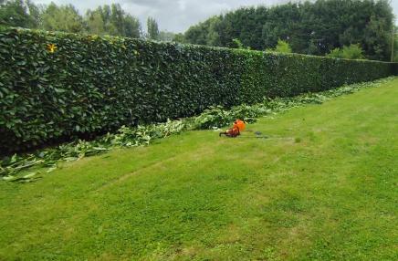 Les Jardins d'Hellébores