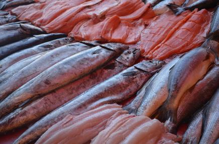 Poissonnerie l'Ecume