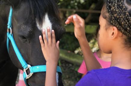 Regards Pluriels Équicoaching