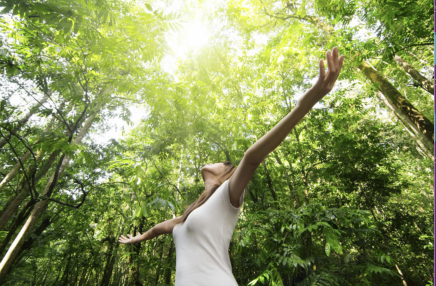 Séjours de Jeûne et Randonnée