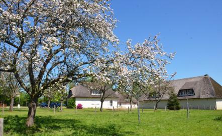 Calvados du Domaine de la Pommeraie