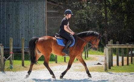 Centre Équestre La Thironnière