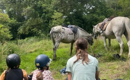 Centre equestre Le Domaine de Capucine 