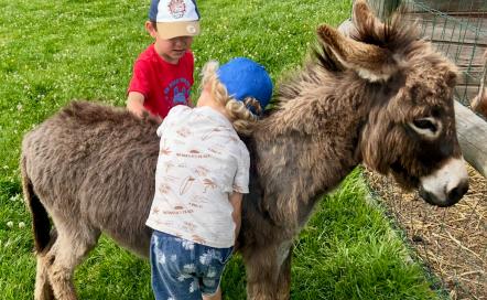 Ferme pédagogique Le domaine de Capucine