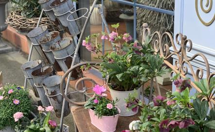 Fleuriste l'Art est dans le pré