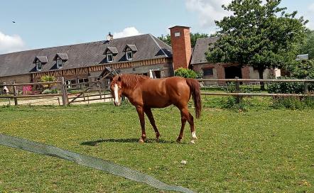 La Casa des 7 Collines