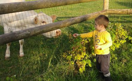 La ferme du Mont Fourrey