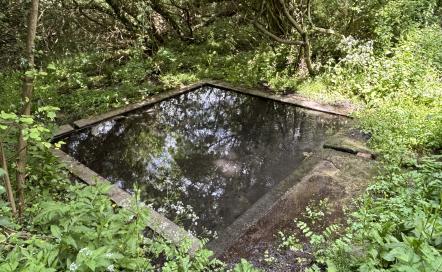 Lavoir de Beaumont-en-Auge (lieu-dit Les Mercanderies)