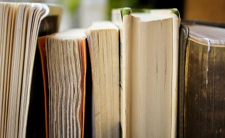 Le réseau des bibliothèques Terre d'Auge