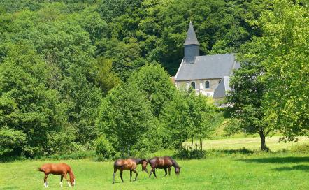 Les églises ouvertes au public