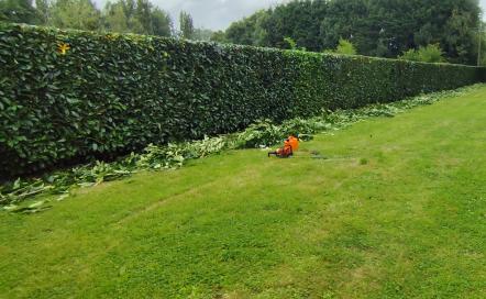 Les Jardins d'Hellébores
