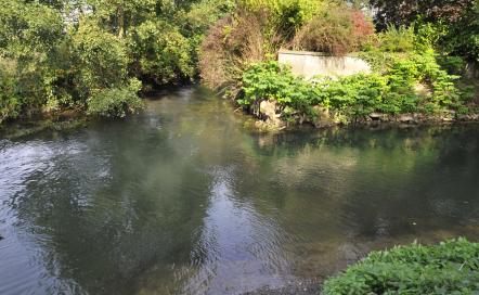 Pêcher sur la Basse Touques et la Calonne