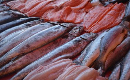 Poissonnerie l'Ecume