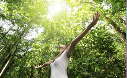 Séjours de Jeûne et Randonnée