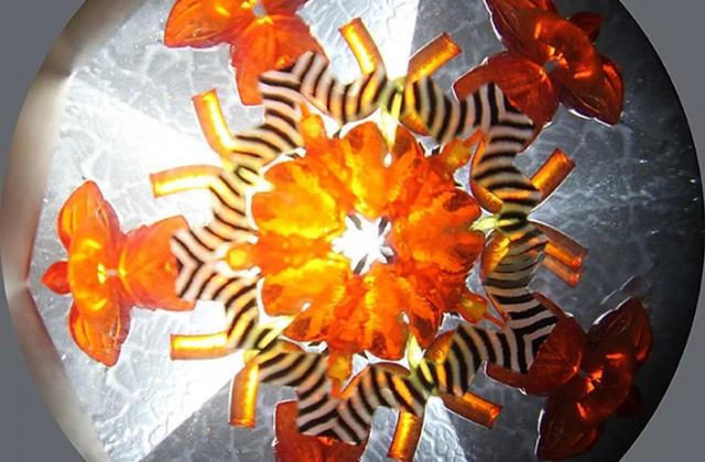 Après la pluie - Dominic Stora