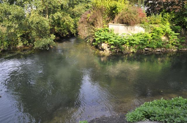 Pêcher sur la Basse Touques et la Calonne