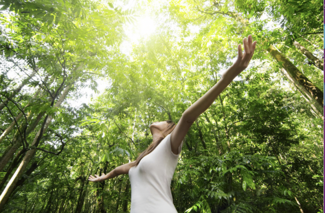 Séjours de Jeûne et Randonnée