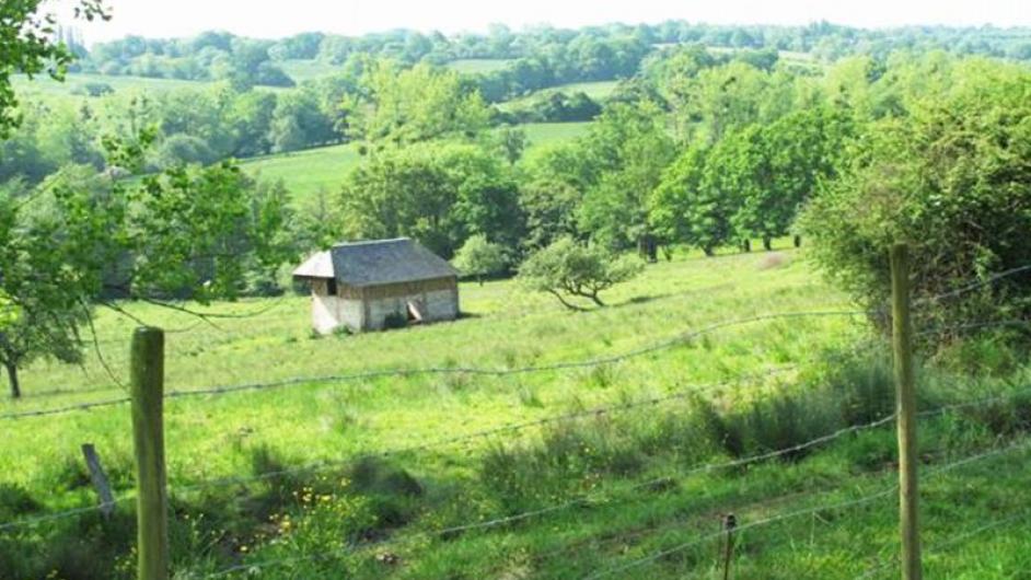 Gîte La Bergerie - vue - extérieur - Les Authieux-sur-Calonne - Normandie - Calvados