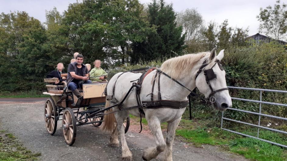 balade calèche - ferme des capucins