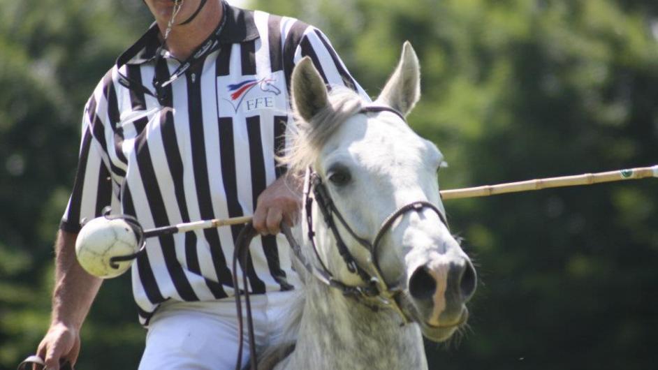 552225_335890533164467_224291212_n - Haras du Cercle