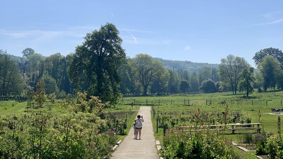 Théâtre de verdure du parc du vestige du château Blangy-le-Château