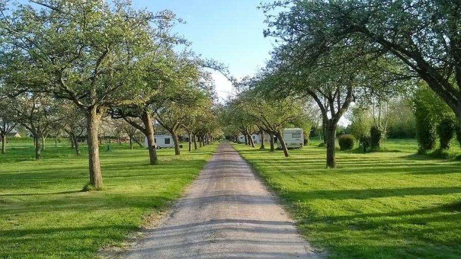 Aire Naturelle de Camping -  arbres - allée - ombre - Reux - Normandie - Calvados 