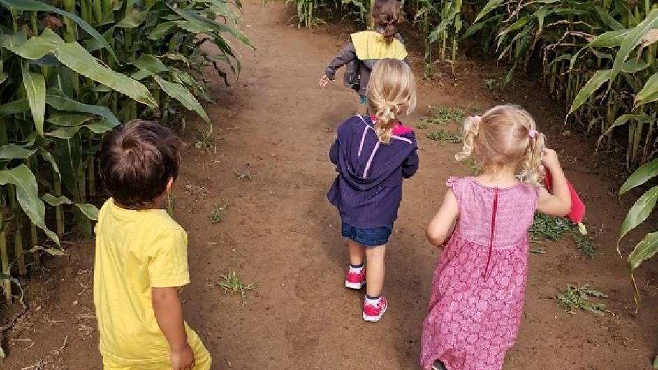 Allée du labyrinthe2 - Labyrinthe Honfleur