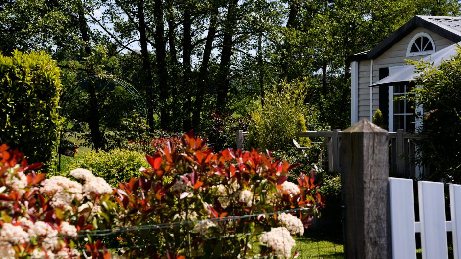 Parc résidentiel Camping du Lac Terre d'Auge - extérieur - fleurs - Pont-l'Evêque - Normandie - Calvados - Agnès Sénécal