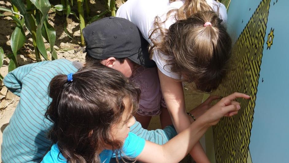 Ass Labyrinthes Normandie photo 2 - Labyrinthe Honfleur