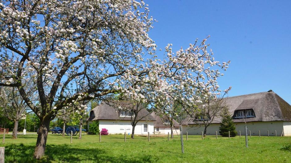 Calvados du Domaine de la Pommeraie, Gonneville-sur-Honfleur, Pays d'Auge, Calvados, Normandie